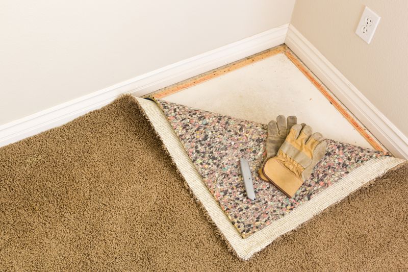 Carpet Flooring Installation